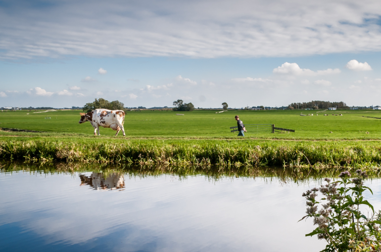 fosfaat rechten platteland