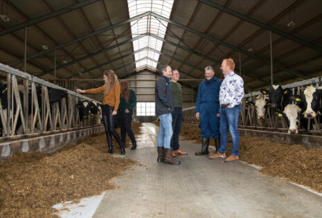 fosfaatrechten medewerkers in stal